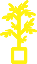 PLANTAS ARTIFICIALES